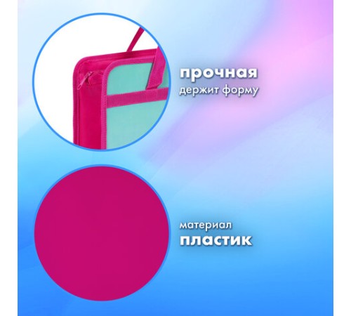Папка на молнии с ручками BRAUBERG А4, 1 отделение, пластик, 80 мм, 