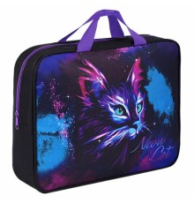 Папка на молнии с ручками BRAUBERG А4, 1 отделение, полиэстер, 80 мм, 