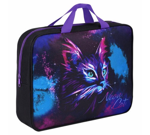 Папка на молнии с ручками BRAUBERG А4, 1 отделение, полиэстер, 80 мм, 