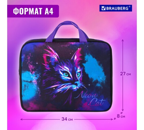 Папка на молнии с ручками BRAUBERG А4, 1 отделение, полиэстер, 80 мм, 