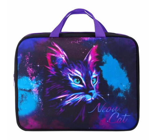 Папка на молнии с ручками BRAUBERG А4, 1 отделение, полиэстер, 80 мм, 