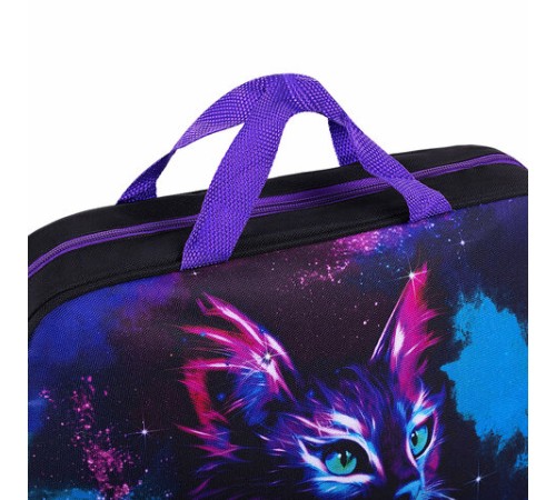 Папка на молнии с ручками BRAUBERG А4, 1 отделение, полиэстер, 80 мм, 