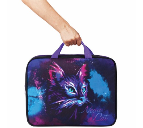 Папка на молнии с ручками BRAUBERG А4, 1 отделение, полиэстер, 80 мм, 