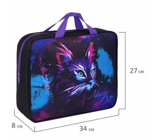 Папка на молнии с ручками BRAUBERG А4, 1 отделение, полиэстер, 80 мм, 