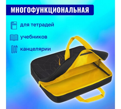 Папка на молнии с ручками BRAUBERG А4, 1 отделение, полиэстер, 80 мм, 