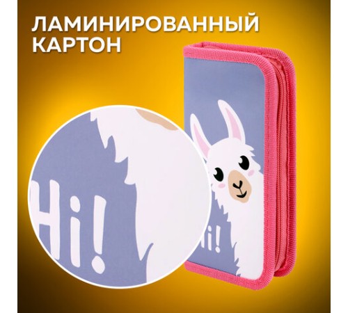 Пенал ПИФАГОР, 1 отделение, ламинированный картон, 19х9 см, 