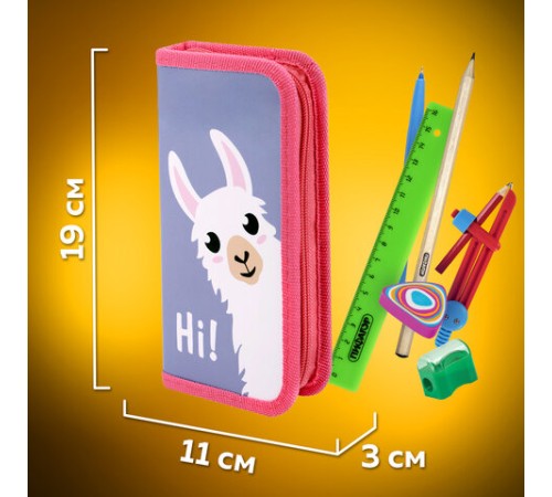 Пенал ПИФАГОР, 1 отделение, ламинированный картон, 19х9 см, 