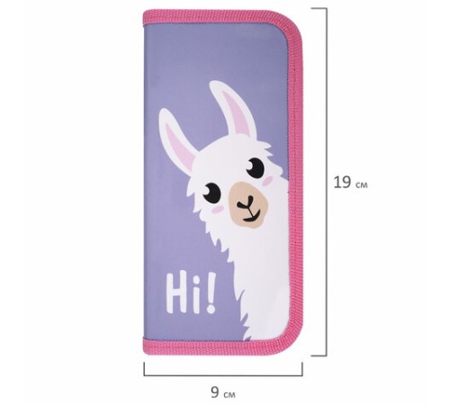 Пенал ПИФАГОР, 1 отделение, ламинированный картон, 19х9 см, 