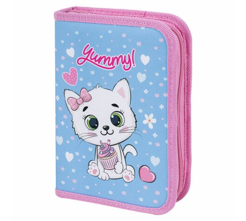 Пенал ПИФАГОР, 1 отделение, 2 откидные планки, полиэстер, 20х14 см, 