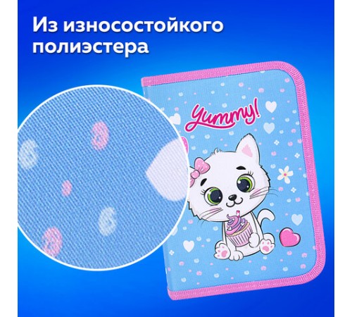 Пенал ПИФАГОР, 1 отделение, 2 откидные планки, полиэстер, 20х14 см, 