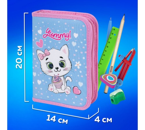 Пенал ПИФАГОР, 1 отделение, 2 откидные планки, полиэстер, 20х14 см, 