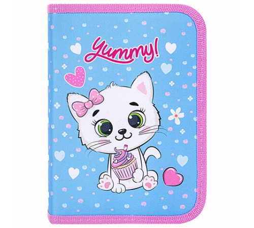 Пенал ПИФАГОР, 1 отделение, 2 откидные планки, полиэстер, 20х14 см, 