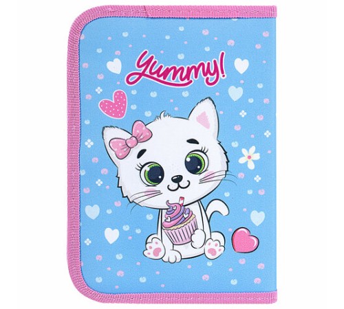 Пенал ПИФАГОР, 1 отделение, 2 откидные планки, полиэстер, 20х14 см, 