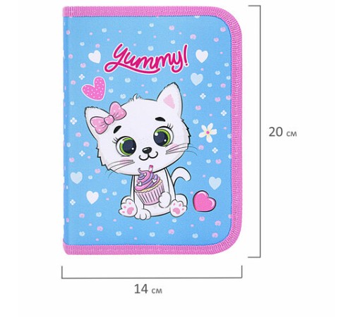 Пенал ПИФАГОР, 1 отделение, 2 откидные планки, полиэстер, 20х14 см, 