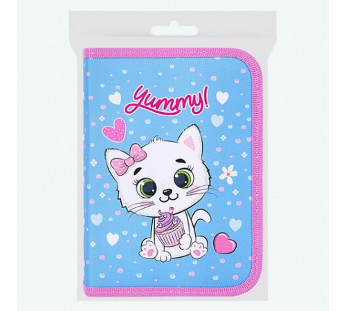 Пенал ПИФАГОР, 1 отделение, 2 откидные планки, полиэстер, 20х14 см, 