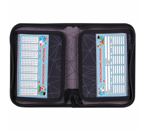 Пенал BRAUBERG, 1 отделение, 2 откидные планки, полиэстер, 21х14 см, 