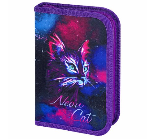 Пенал BRAUBERG с наполнением, 1 отделение, 1 откидная планка, 24 предмета, 21х14 см, 