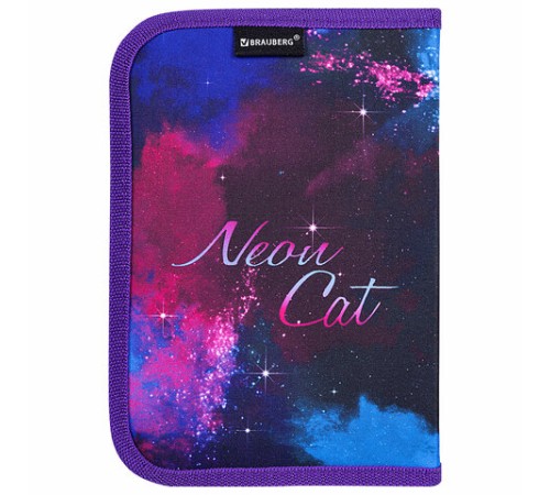 Пенал BRAUBERG с наполнением, 1 отделение, 1 откидная планка, 24 предмета, 21х14 см, 