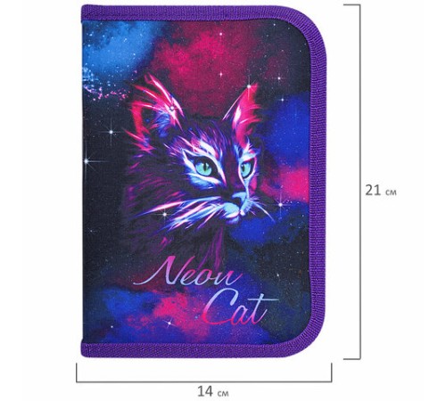 Пенал BRAUBERG с наполнением, 1 отделение, 1 откидная планка, 24 предмета, 21х14 см, 