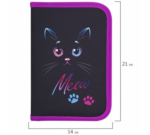 Пенал BRAUBERG, 1 отделение, полиэстер, 21х14 см, 