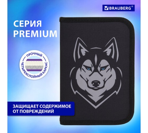 Пенал BRAUBERG, 1 отделение, полиэстер, 21х14 см, 