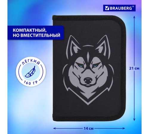 Пенал BRAUBERG, 1 отделение, полиэстер, 21х14 см, 