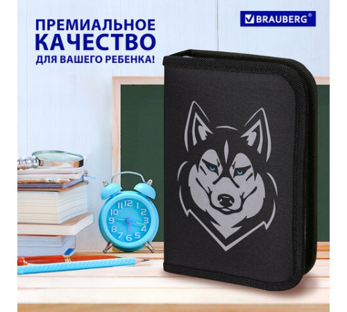 Пенал BRAUBERG, 1 отделение, полиэстер, 21х14 см, 