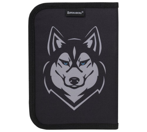 Пенал BRAUBERG, 1 отделение, полиэстер, 21х14 см, 