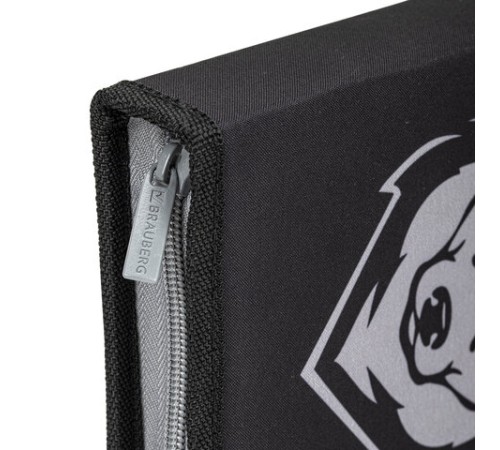 Пенал BRAUBERG, 1 отделение, полиэстер, 21х14 см, 