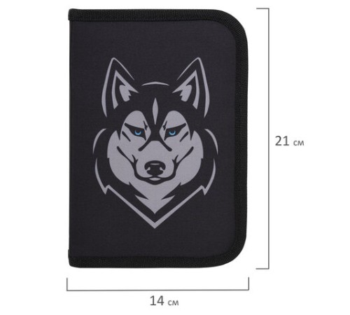 Пенал BRAUBERG, 1 отделение, полиэстер, 21х14 см, 