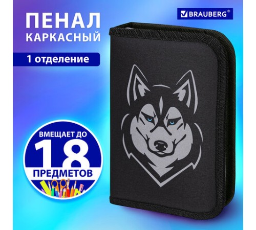 Пенал BRAUBERG, 1 отделение, полиэстер, 21х14 см, 