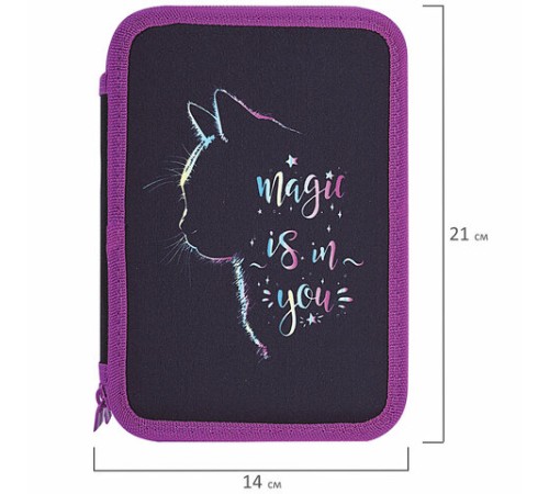 Пенал BRAUBERG, 2 отделения, полиэстер, 21х14 см, 