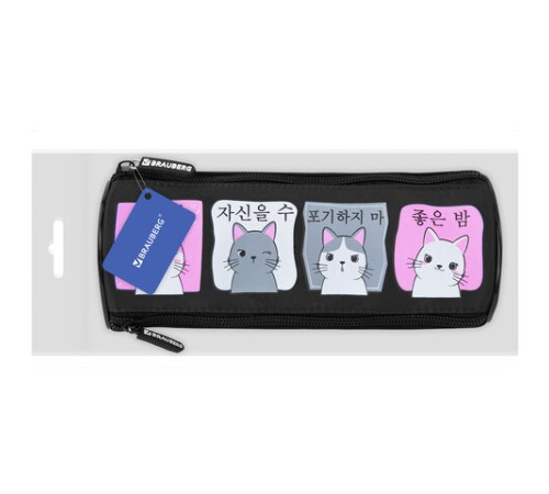 Пенал мягкий BRAUBERG, 3 отделения, нейлон, 21х7х7 см, 