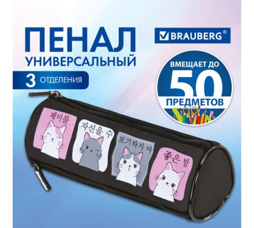 Пенал мягкий BRAUBERG, 3 отделения, нейлон, 21х7х7 см, 