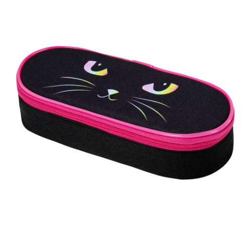 Пенал-футляр BRAUBERG, 1 отделение, органайзер, полиэстер, 22x9x5 см, 