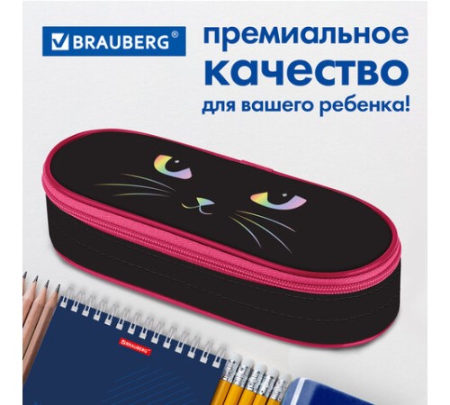 Пенал-футляр BRAUBERG, 1 отделение, органайзер, полиэстер, 22x9x5 см, 