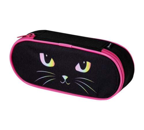 Пенал-футляр BRAUBERG, 1 отделение, органайзер, полиэстер, 22x9x5 см, 