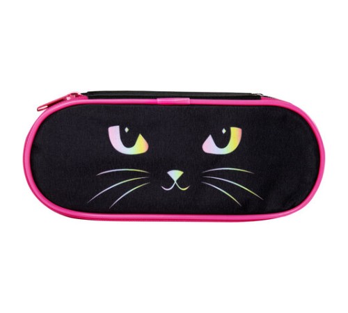 Пенал-футляр BRAUBERG, 1 отделение, органайзер, полиэстер, 22x9x5 см, 