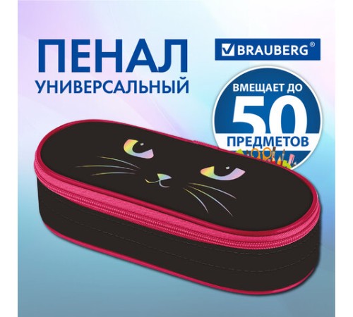 Пенал-футляр BRAUBERG, 1 отделение, органайзер, полиэстер, 22x9x5 см, 