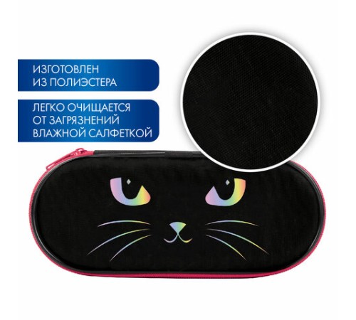 Пенал-футляр BRAUBERG, 1 отделение, органайзер, полиэстер, 22x9x5 см, 