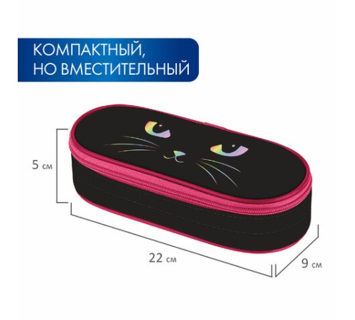 Пенал-футляр BRAUBERG, 1 отделение, органайзер, полиэстер, 22x9x5 см, 