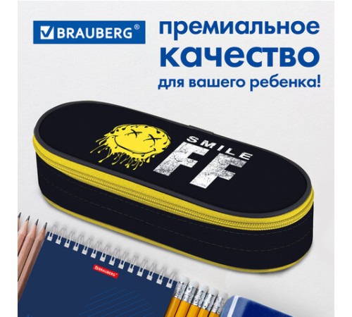 Пенал-футляр BRAUBERG, 1 отделение, органайзер, полиэстер, 22x9x5 см, 