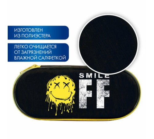 Пенал-футляр BRAUBERG, 1 отделение, органайзер, полиэстер, 22x9x5 см, 