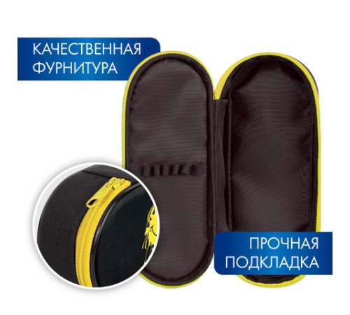 Пенал-футляр BRAUBERG, 1 отделение, органайзер, полиэстер, 22x9x5 см, 