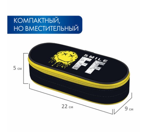 Пенал-футляр BRAUBERG, 1 отделение, органайзер, полиэстер, 22x9x5 см, 