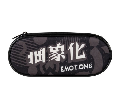 Пенал-футляр BRAUBERG, 1 отделение, органайзер, полиэстер, 22x9x5 см, 