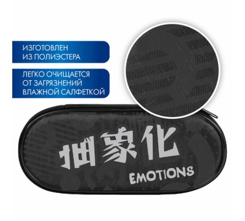 Пенал-футляр BRAUBERG, 1 отделение, органайзер, полиэстер, 22x9x5 см, 