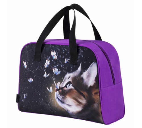 Сумка для занятий BRAUBERG с ручками, 35x25x15 см, 