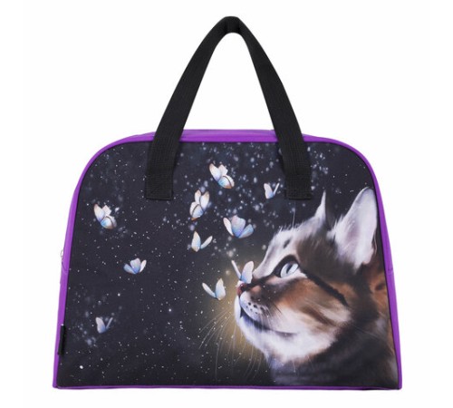 Сумка для занятий BRAUBERG с ручками, 35x25x15 см, 