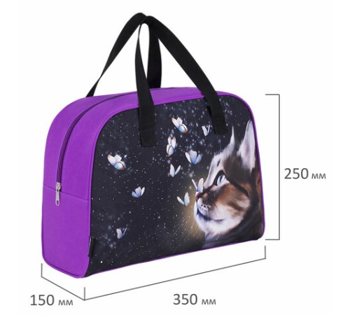 Сумка для занятий BRAUBERG с ручками, 35x25x15 см, 